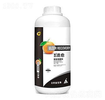 1000ml΢������� ���� ���ý�