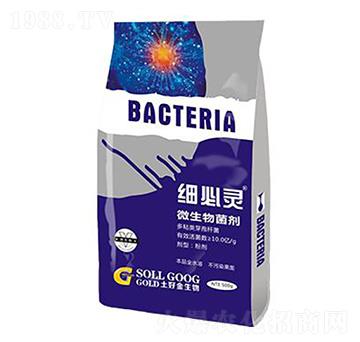 500g΢������� ��(x��)���` ���ý�