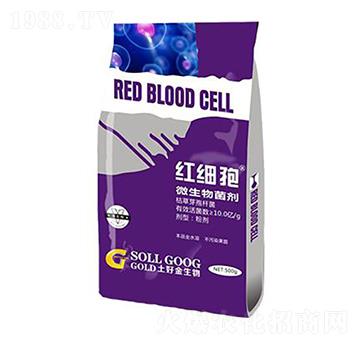 500g΢������� �t���� ���ý�