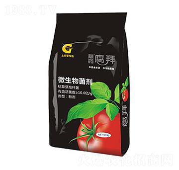 500g΢������� ���� ���ý�