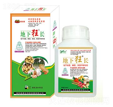 ���K�o���[�o�����o����� ���¿��L ����