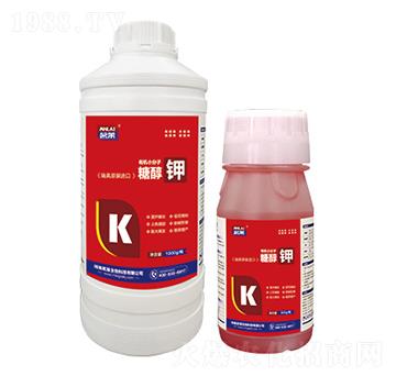 �Ǵ���-���R����