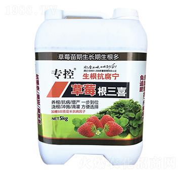 生根抗腐寧-草莓根三喜-苗哥農(nóng)化