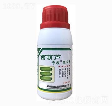 西葫蘆專控-果多多-苗哥農(nóng)化