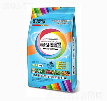 ������ھ�-������-�ŵ�����