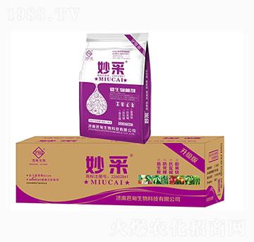 ΢�������-���-�ŵ�����