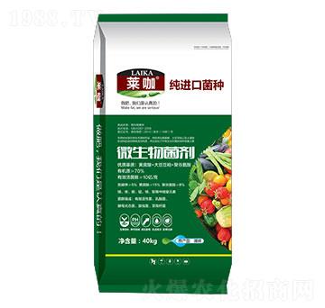 ΢������������M�ھ��N��-�R��-�ŵ�����