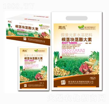 ���o�K�o�����-�����r��