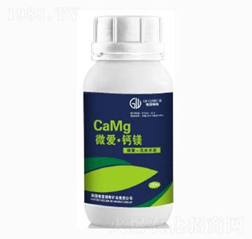 ΢�ۡ��}�V�τ�-�|���r�I(y��)