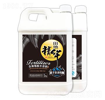 膨果著色型含腐植酸水溶肥 田地精華 農(nóng)富天下