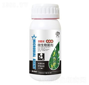 瓶裝霜霉病專用微生物菌劑-圣肥農(nóng)-中圣農(nóng)業(yè)