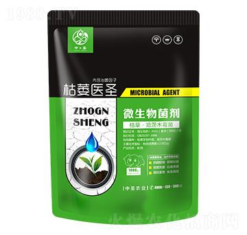 �ݲݡ�����ľù��-��ή�t(y��)ʥ-��ʥ�r�I(y��)