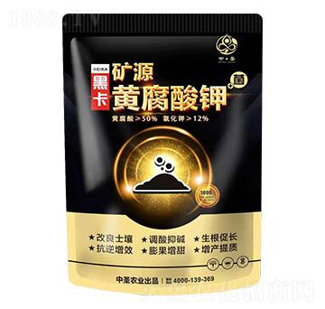 �VԴ�S�����+��-�ڿ�-��ʥ�r�I(y��)