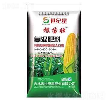 ������S�����������׌��Ï�(f��)�����23-8-10-�����-���o��