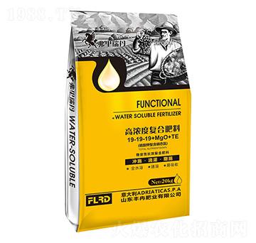 �ߝ�ȏͺϷ���19-19-19+MgO+TE �SȽ�ʘI(y��)