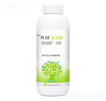 ������-�f(w��n)��-�������