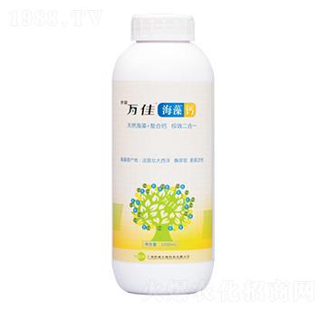 �����}-�������