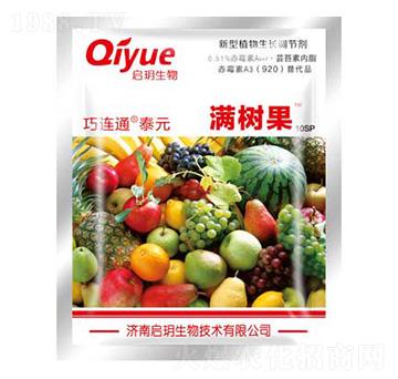 �M��(sh��)�������� ����