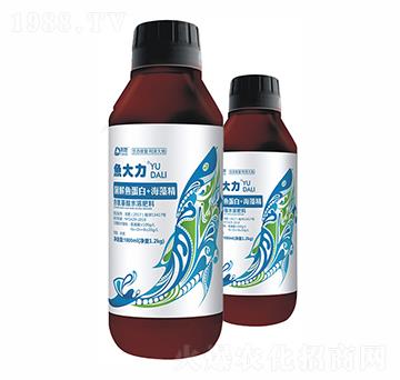 �����~����+���徫-�~����ƿ�b-��������