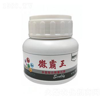 ���ذ���΢��Ԫ��-΢����-���a��