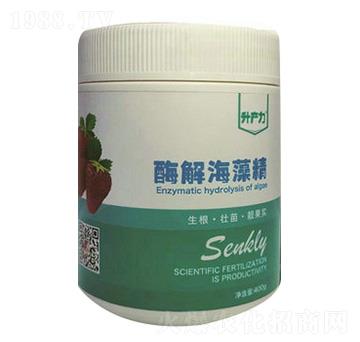 ��ݮ��(zhu��n)��-ø�⺣�徫-���a(ch��n)��