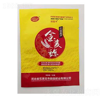 ������-��@�ʘI(y��)