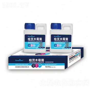 真菌細(xì)菌病害專用哈茨木霉菌-昆騰農(nóng)業(yè)