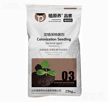 ��ֲ��������-ֲԭ�B(y��ng)�r(n��ng)�I(y��)