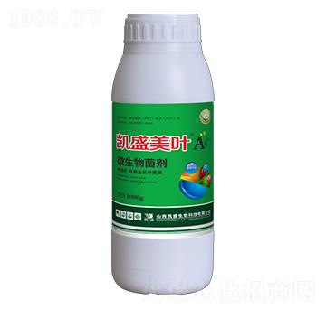 ΢�������-���~A-�Pʢ�ʘI(y��)