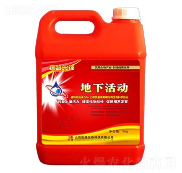 ���»��-̽·���h-�Pʢ�ʘI(y��)