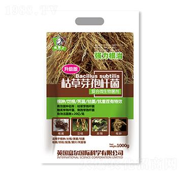 �ݲ�ѿ�ߗU���������棩-�����Ƽ�