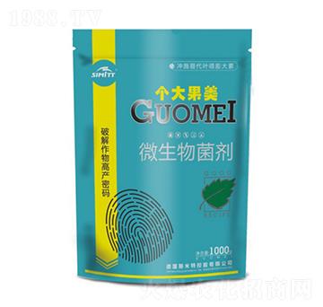 1000g΢�������-�������-����S�r�I(y��)