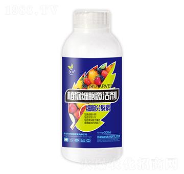 ֲ�：�����-��˲