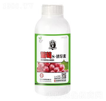 ����S-�T����-��˲