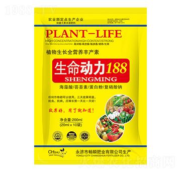 ��������188-��˲