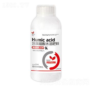 �����ЙC�t�-��˲