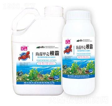 ����ך�����-�������r(n��ng)