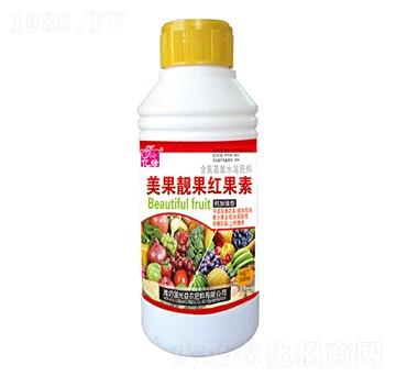 �����n�������-��(gu��)�����r(n��ng)