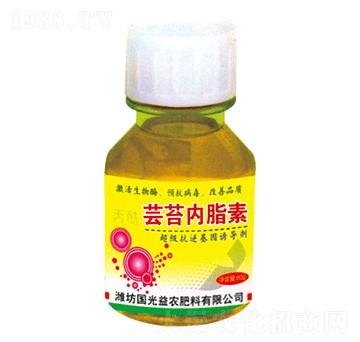 �|̦��֬��-�������r(n��ng)