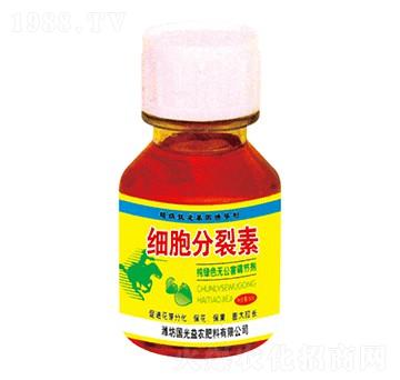 60g��(x��)��������-�������r(n��ng)