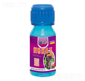 ���ь����ڷ�����������-�������r