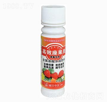 草莓專用高效座果靈-中天肥業(yè)