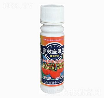 番茄專用高效座果靈-中天肥業(yè)