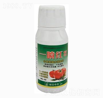 番茄專用含氨基酸水溶肥料-一噴紅-中天肥業(yè)