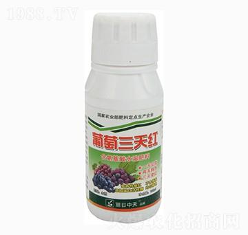 含氨基酸水溶肥料-葡萄三天紅-中天肥業(yè)