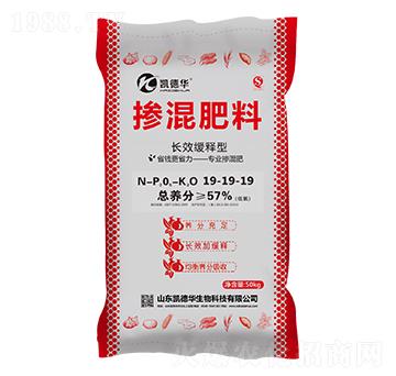 �LЧ����͓������19-19-19-�P���A