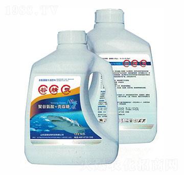 谷精靈-山東昌瑞