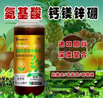 氨基酸·鈣·鎂·鋅·硼·錳-葉豐佳-中農(nóng)弘露