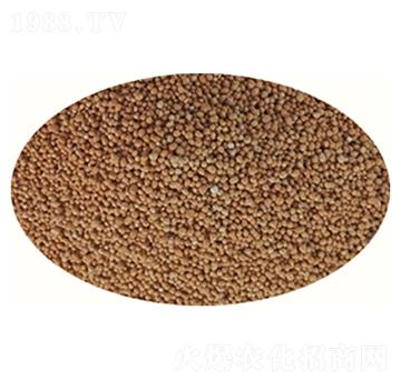 ���`̤��-����̤-�߸�