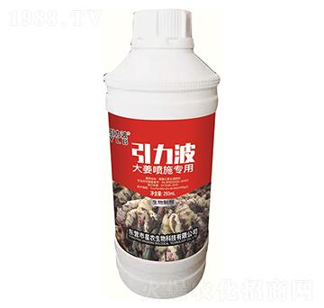 �󽪇�ʩ����-������-���r(n��ng)����